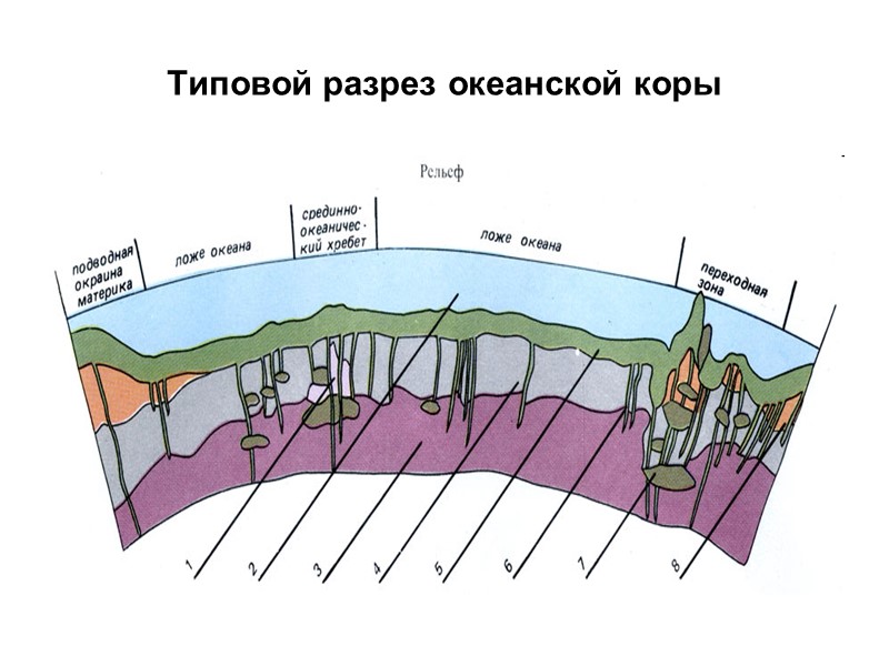 Типовой разрез океанской коры